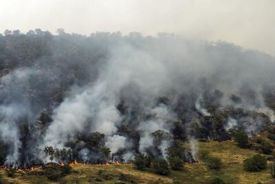 آتش سوزی گسترده در جنگل های شهرستان ایوان