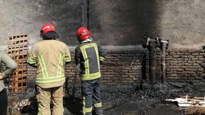 آتش سوزی هولناک در کلینیک دامپزشکی در خیابان صارمی مشهد