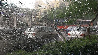 بارش باران در شیراز + فیلم