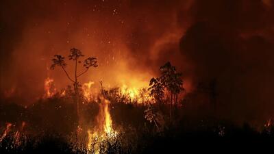 رکورد بی‌سابقه آتش‌سوزی‌ها در بزرگترین تالاب گرمسیری جهان (فیلم)