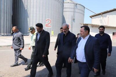پیش بینی خرید ۱۲۰ هزار تن گندم از کشاورزان مازندران