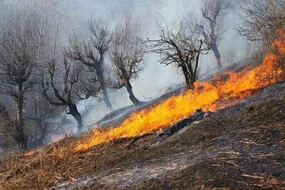 کاهش آتش‌سوزی در مراتع استان مرکزی