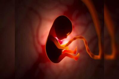 بررسی تاثیر نانوذرات روی جفت جنین