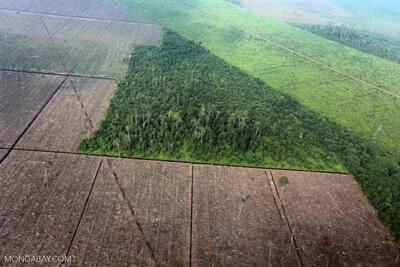 اقداماتی برای مدیریت آب و خاک و مقابله با جنگل‌زدایی