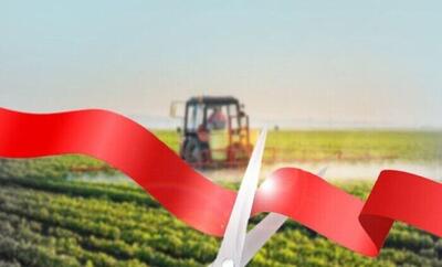 افتتاح ۴ پروژه کشاورزی در فامنین