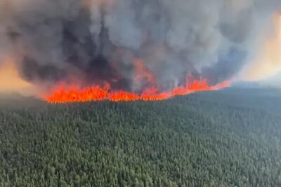 کاهش ۵۰ درصدی آتش‌سوزی در جنگل‌های  آذربایجان‌شرقی
