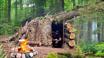 معماری خلاقانه؛ آقاهه با چوب و پوسته درختا برای خودش پناهگاه درست کرده شاهانه