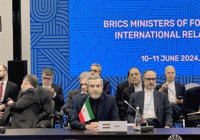 آمادگی ایران برای ارائه الگوی اقتصاد مقاومتی به بریکس - تسنیم