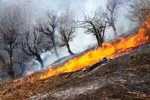 پایان ۳ روز آتش سوزی در جنگل‌های ایوان