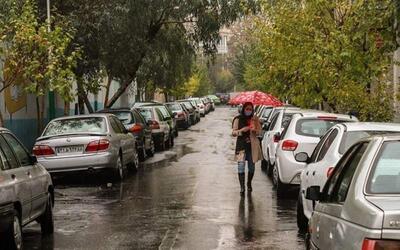 بارش باران در بیشتر استان‌های کشور/ وزش باد شدید