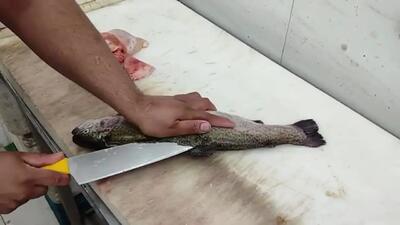(ویدئو) دو ترفند ساده برای گرفتن پوست ماهی قزل آلا یا سالمون