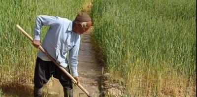 سالانه بیش از ۱۰۰ هزار بیمه‌نامه محصولات کشاورزی در کرمانشاه صادر می‌شود