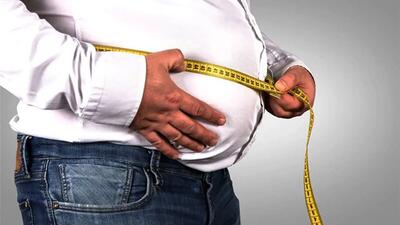 چاق بودن خطر حملات قلبی و سکته ندارد اگر ... + متخصصان هاروارد اعلام کردند