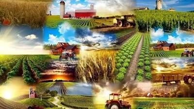 افتتاح و بهره‌برداری از 2347 طرح بخش کشاورزی کشور در هفته جهاد کشاورزی