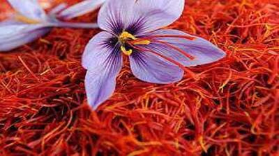 ضرورت صادرات حدود ۲۵ تن زعفران تا فصل برداشت