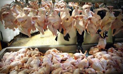 گوشت قرمز ایران به کدام کشورها صادر می‌شود؟/قیمت گوشت‌های وارداتی اعلام شد
