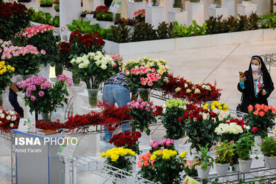 هجدهمین نمایشگاه گل و گیاهان زینتی محلات آغاز به کار کرد