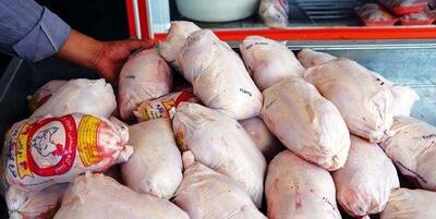 افزایش قطره چکانی قیمت مرغ در بازار امروز | قیمت مرغ گرم امروز به کیلویی چند تومان رسید؟