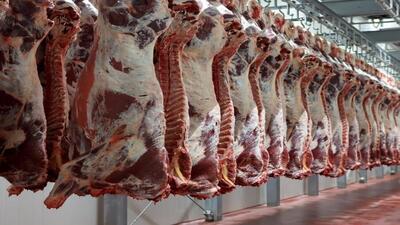 ۶۰ تن گوشت وارداتی از مغولستان معدوم شد