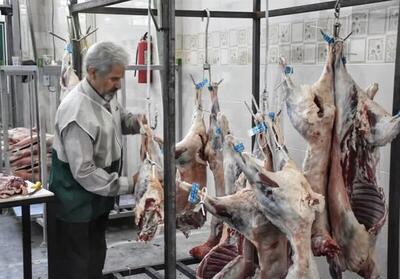 گوسفند قربانی در تهران، کیلویی ۳۳۰ هزار تومان