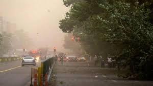 سقوط درخت در خیابان دولت تهران در پی طوفان شدید+ فیلم