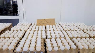 تولید ۱۴هزار و ۴۰۰تن تخم‌مرغ در لرستان؛ کمبود مرغ نداریم