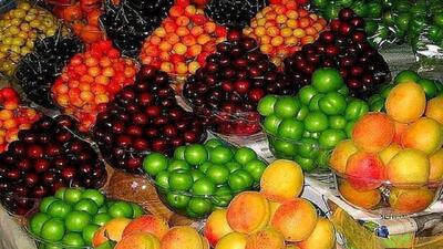 توزیع روزانه میوه‌های نوبرانه به ۲ هزار و ۵۰۰ تن رسید