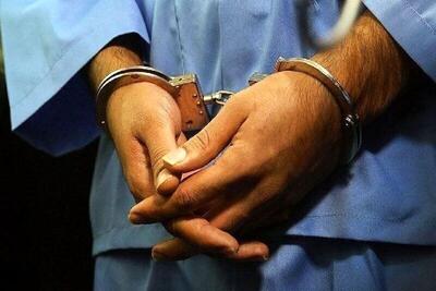 بازداشت ۲۲۹ سارق و مالخر حرفه‌ای در تهران