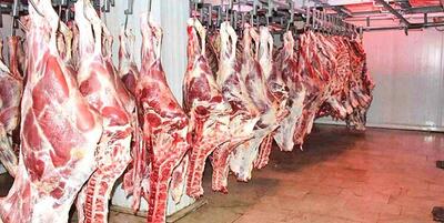 جدیدترین قیمت گوشت قرمز در بازار؛ گوسفند زنده و نیم شقه کیلویی چند به فروش می رسد؟
