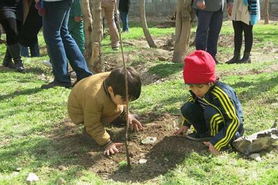 چالش‌های زیست محیطی کشور با کاشت درخت حل می شود