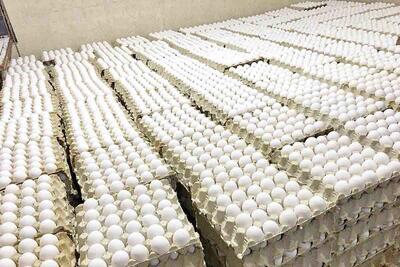 صادرات بیش از ۱۳۶ هزار تن تخم مرغ از کشور