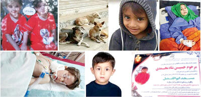 مرگ فاجعه‌بار 7 کودک براثر سگ‌گزیدگی در یک ماه اخیر