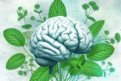 راهی احتمالی برای بهبود حافظه در مبتلایان به آلزایمر بااستشمام رایحه نعنا