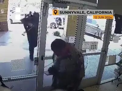 دزدی گروهی از جواهرفروشی در کالیفرنیا جنجالی شد + فیلم
