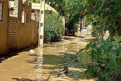 وقوع سیلاب در بخش کجور نوشهر