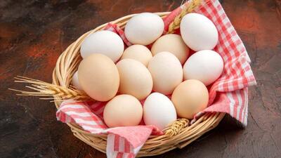 قیمت تخم مرغ امروز ۲۸ خرداد ۱۴۰۳ | رویداد24