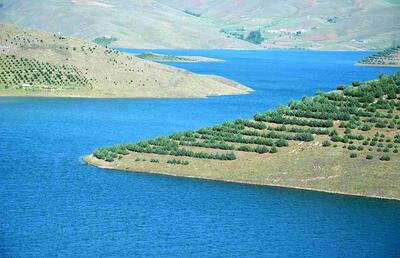 وضعیت آب ایران در تابستان ؛ ۵ سد بزرگ پر شدند / سایر سدهای کشور در چه شرایطی هستند؟
