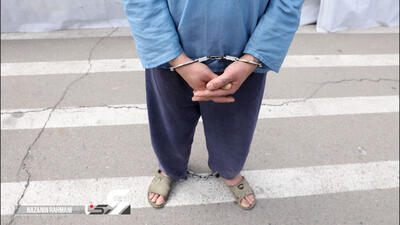 بازداشت دزدان وانت سوار ددر خیابان دبستان / شگردشان برای دزد خاص بود