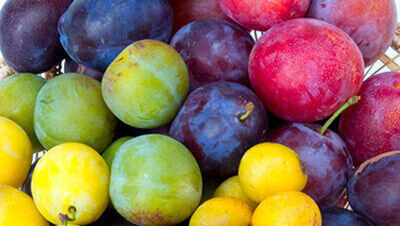 با مصرف این میوه از ابتلا به پوکی استخوان پیشگیری کنید