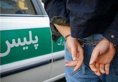 10 مخل امنیت عمومی در کاشان دستگیر شدند - تسنیم