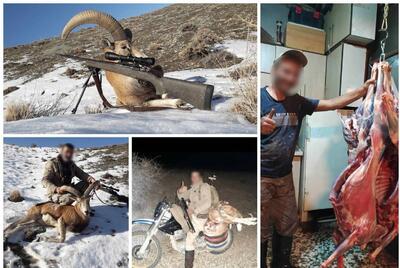 20 متخلف شکار و صید در مازندران دستگیر شدند - تسنیم