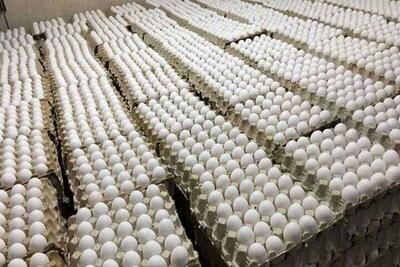 قیمت تخم مرغ در بازار امروز ۳۰ خرداد ۱۴۰۳