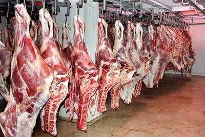 وضعیت بحرانی در بازار گوشت قرمز