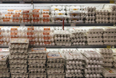 جدیدترین قیمت تخم مرغ بسته بندی در بازار؛ یک بسته ۲۰ عددی چند شد؟