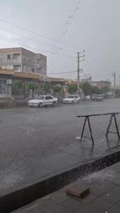فیلم بارش شدید باران در پلدشت اذربایجان غربی