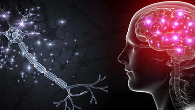 علائم، علت و درمان بیماری‌ های نورولوژیک و مغز و اعصاب
