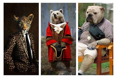 تصاویر تماشایی از مسابقه‌ی طراحی لباس برای حیوانات - زومیت