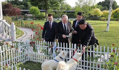 هدیه رهبر کره شمالی به پوتین: یک جفت سگ