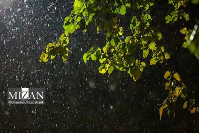 تهران، امروز بعدازظهر بارانی می‌شود