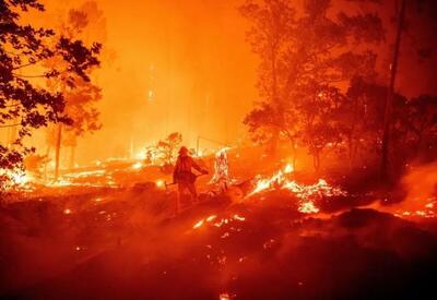 آتش سوزی گسترده جنگل های پلدختر را به خاکستر تبدیل کرد